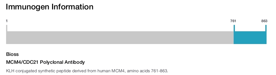 MCM4/CDC21 Polyclonal Antibody