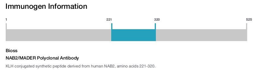 NAB2/MADER Polyclonal Antibody