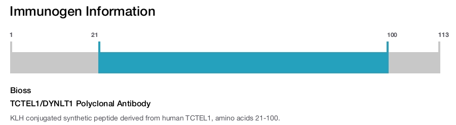 TCTEL1/DYNLT1 Polyclonal Antibody