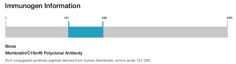 Membralin/C19orf6 Polyclonal Antibody