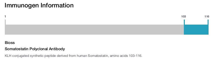 Somatostatin Polyclonal Antibody