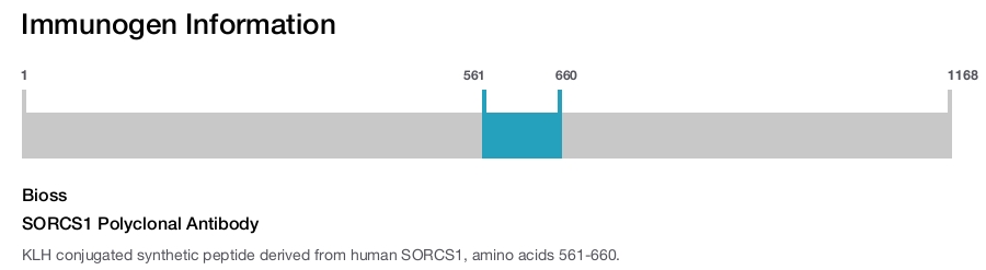 SORCS1 Polyclonal Antibody