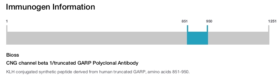 CNG channel beta 1/truncated GARP Polyclonal Antibody