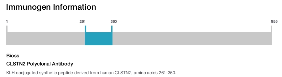 CLSTN2 Polyclonal Antibody