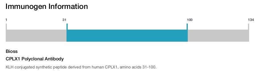 CPLX1 Polyclonal Antibody