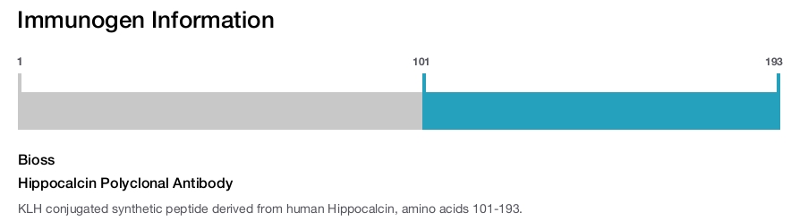 Hippocalcin Polyclonal Antibody