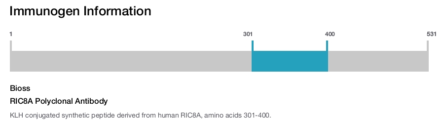 RIC8A Polyclonal Antibody