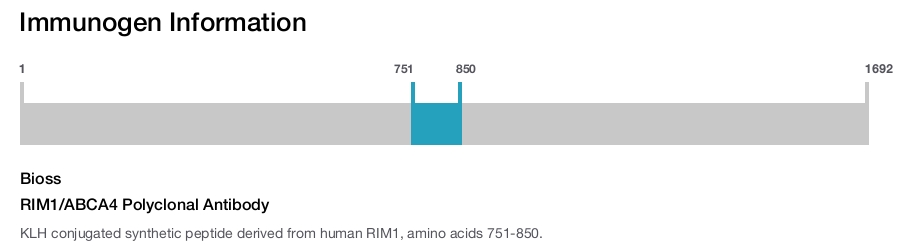 RIM1/ABCA4 Polyclonal Antibody
