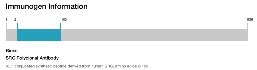 SRC Polyclonal Antibody