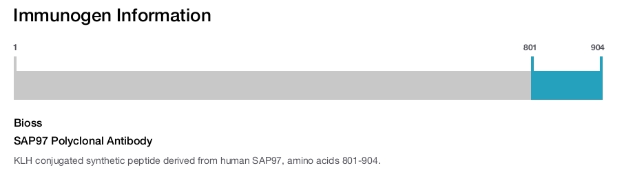 SAP97 Polyclonal Antibody