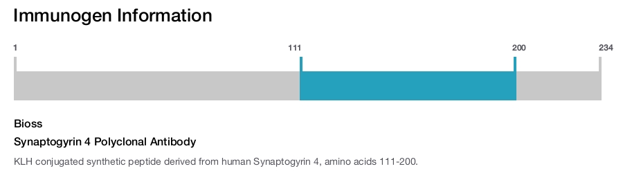 Synaptogyrin 4 Polyclonal Antibody