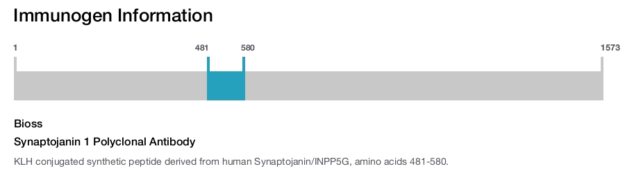 Synaptojanin 1 Polyclonal Antibody