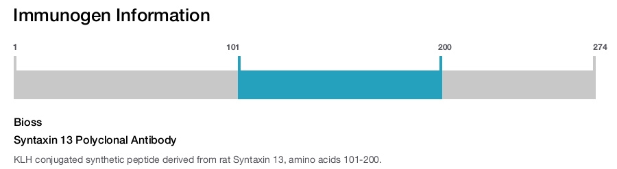 Syntaxin 13 Polyclonal Antibody