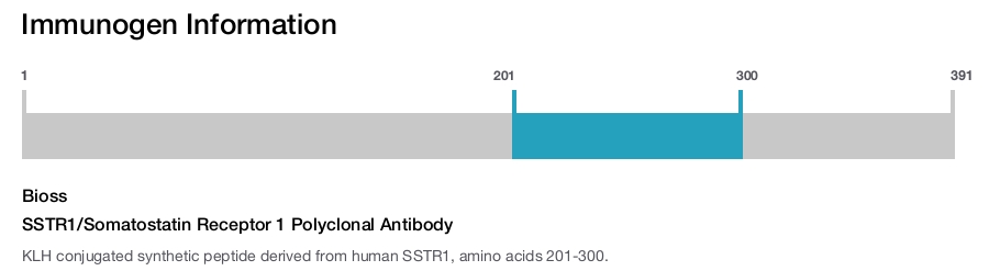 SSTR1/Somatostatin Receptor 1 Polyclonal Antibody