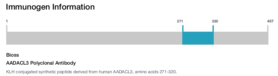 AADACL3 Polyclonal Antibody