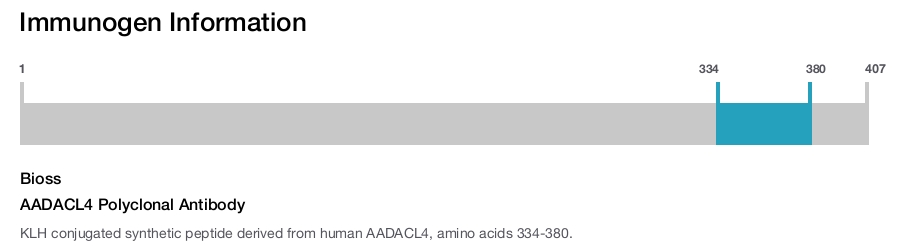AADACL4 Polyclonal Antibody