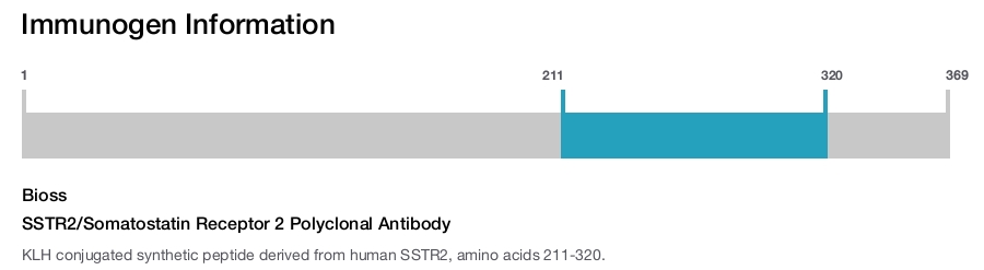 SSTR2/Somatostatin Receptor 2 Polyclonal Antibody