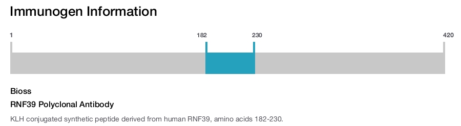 RNF39 Polyclonal Antibody