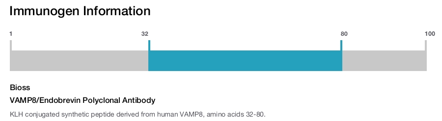 VAMP8/Endobrevin Polyclonal Antibody