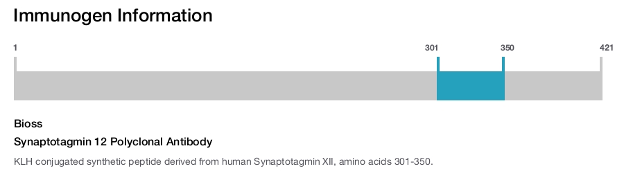 Synaptotagmin 12 Polyclonal Antibody
