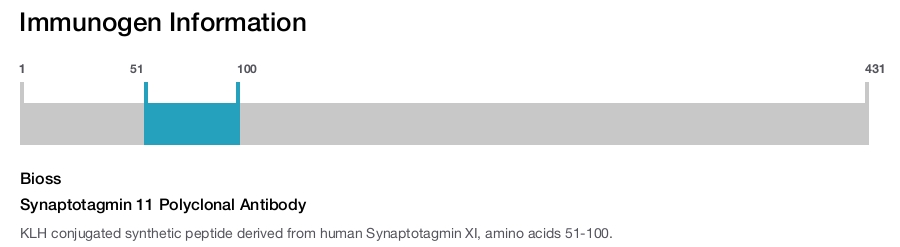Synaptotagmin 11 Polyclonal Antibody