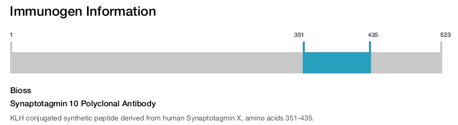 Synaptotagmin 10 Polyclonal Antibody