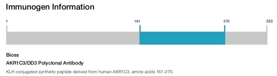 AKR1C3/DD3 Polyclonal Antibody