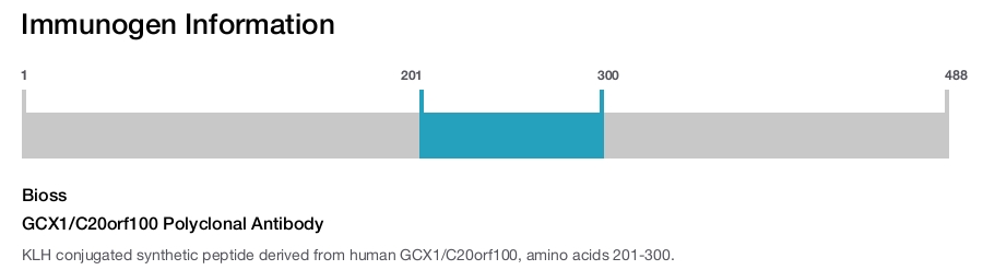 GCX1/C20orf100 Polyclonal Antibody