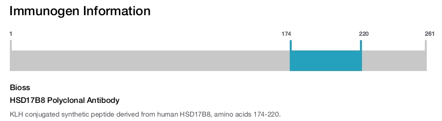 HSD17B8 Polyclonal Antibody