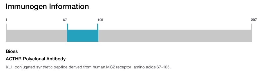 ACTHR Polyclonal Antibody