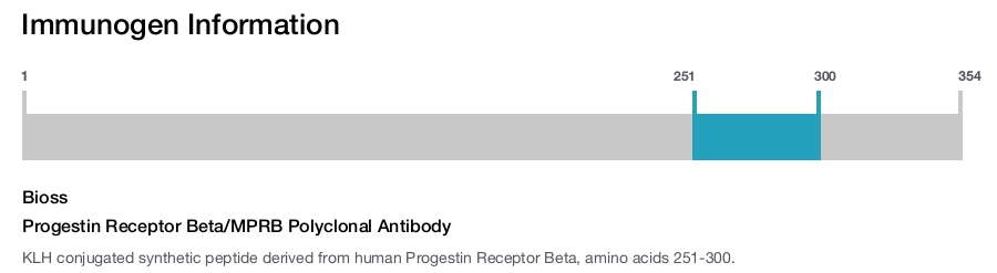 Progestin Receptor Beta/MPRB Polyclonal Antibody