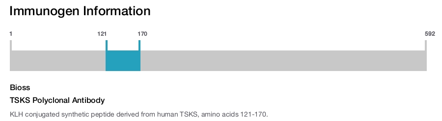 TSKS Polyclonal Antibody
