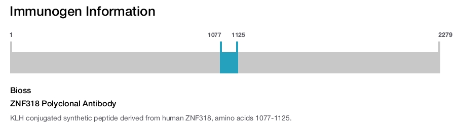 ZNF318 Polyclonal Antibody