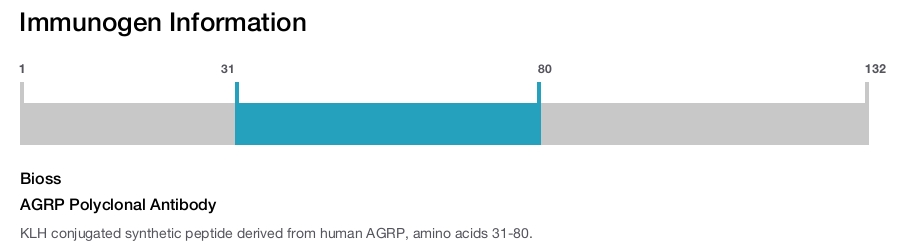 AGRP Polyclonal Antibody