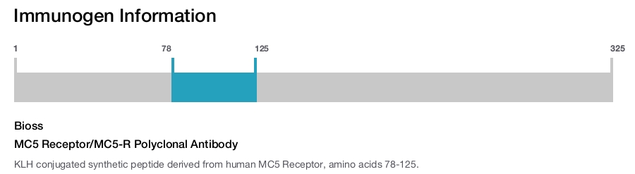 MC5 Receptor/MC5-R Polyclonal Antibody