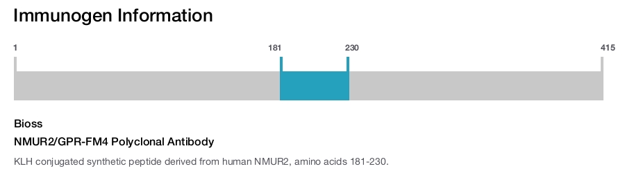 NMUR2/GPR-FM4 Polyclonal Antibody