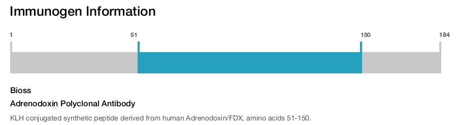 Adrenodoxin Polyclonal Antibody