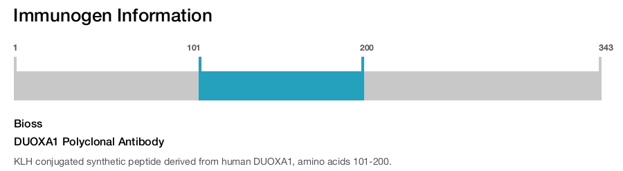 DUOXA1 Polyclonal Antibody
