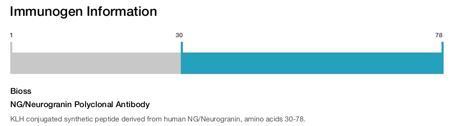 NG/Neurogranin Polyclonal Antibody