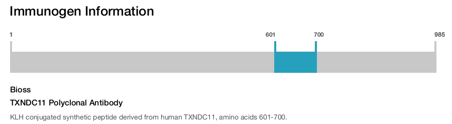 TXNDC11 Polyclonal Antibody
