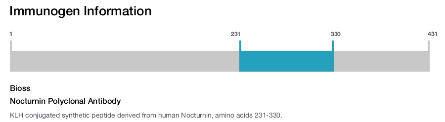 Nocturnin Polyclonal Antibody