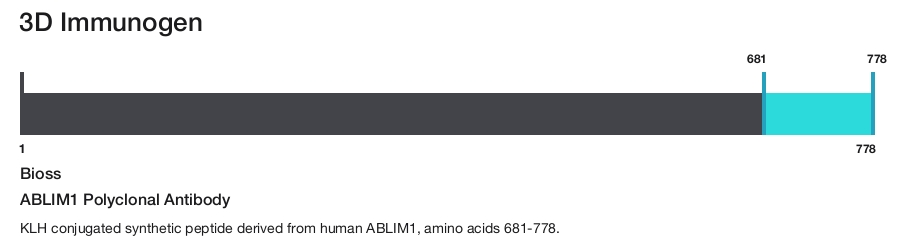 ABLIM1 Polyclonal Antibody