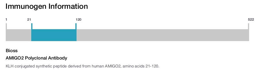 AMIGO2 Polyclonal Antibody