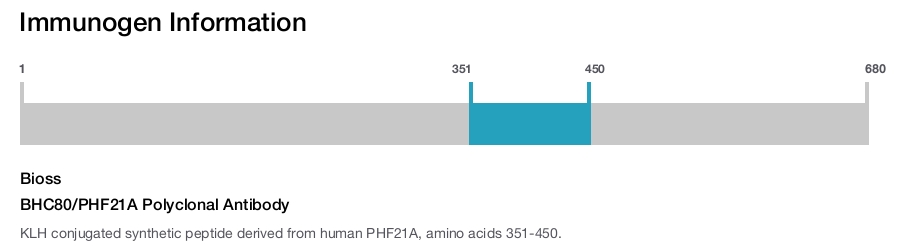 BHC80/PHF21A Polyclonal Antibody