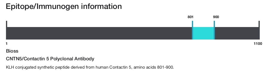 CNTN5/Contactin 5 Polyclonal Antibody