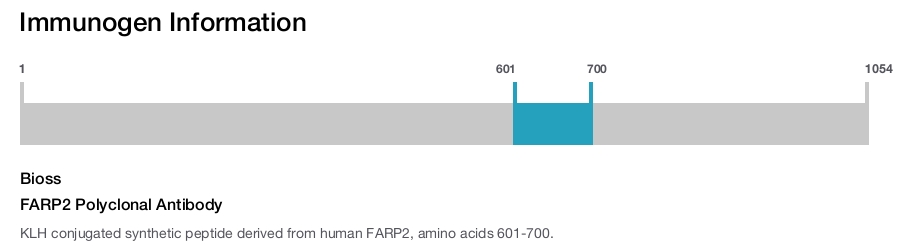 FARP2 Polyclonal Antibody