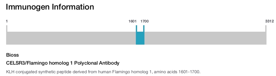 CELSR3/Flamingo homolog 1 Polyclonal Antibody