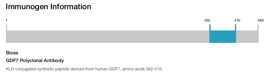 GDF7 Polyclonal Antibody