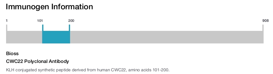 CWC22 Polyclonal Antibody