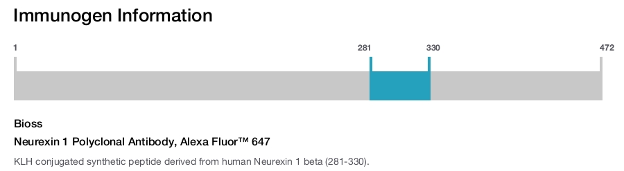 Neurexin 1 Polyclonal Antibody, Alexa Fluor&trade; 647